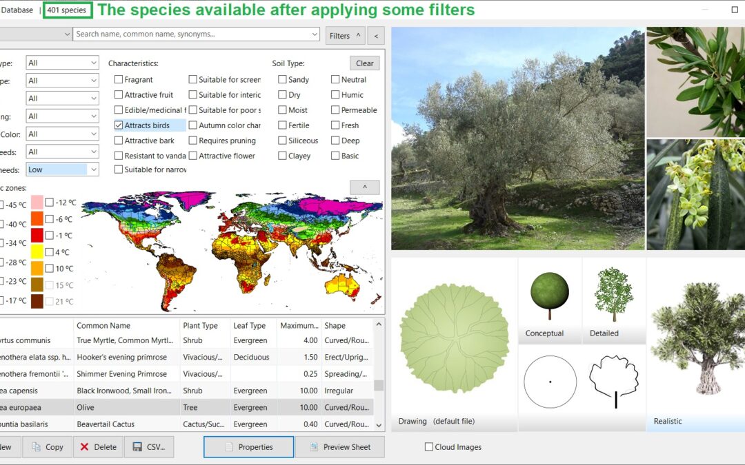 How to Create a Sustainable Mediterranean Garden which Promotes Biodiversity