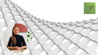 Online beginner’s course for Grasshopper by Agata Kycia