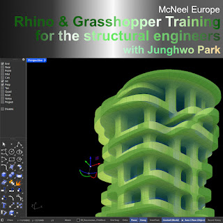 Rhino/ Grasshopper online workshop for structural engineers, June 30- July 2 (McNeel Europe)