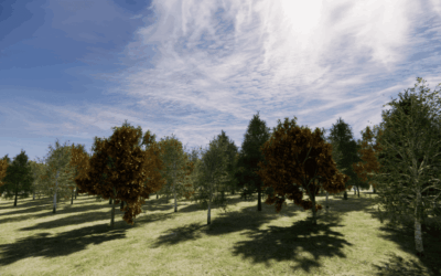 Silvicultura inteligente para un futuro más caluroso: planes de plantación para recuperar los bosques quemados