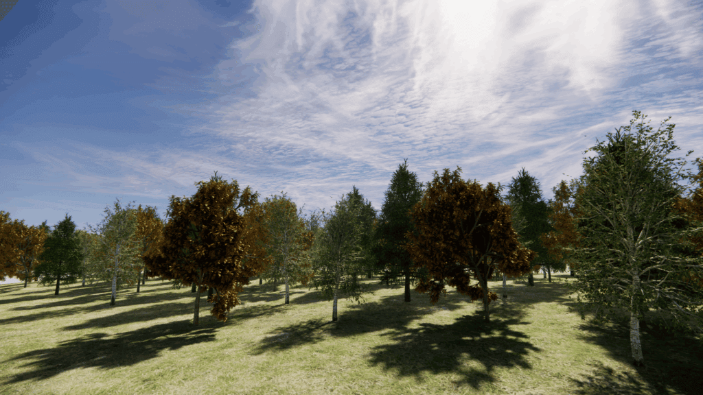 Smart Forestry for a Hotter Future: Planting Plans to Recover Burned Forests